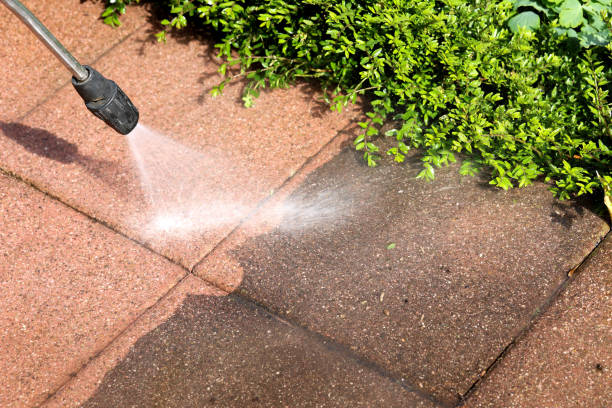 Best Fence Pressure Washing  in Hawthorn Woods, IL